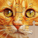 Jigsaw puzzles for everyone Apk + Mod 2025.04.17 (Unlimited Coins)