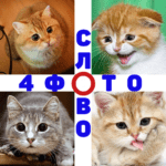 4 Фото 1 Слово Apk + Mod 1.76  (Unlimited Money)