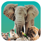 Ark Nova Apk + Mod 1.0.3 (Unlimited Money)