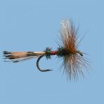 Fly Fishing Simulator Apk + Mod 1074 (Unlimited Money)