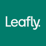 Leafly Find Cannabis and CBD Apk Mod 8.11.0 Unlocked