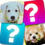 Match Game Apk + Mod 10.6 (Unlimited Money)