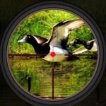 Duck Hunting Wild Shooting Apk + Mod 2.5 (Unlimited Money)